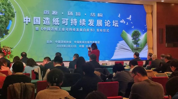 澳门料澳天天